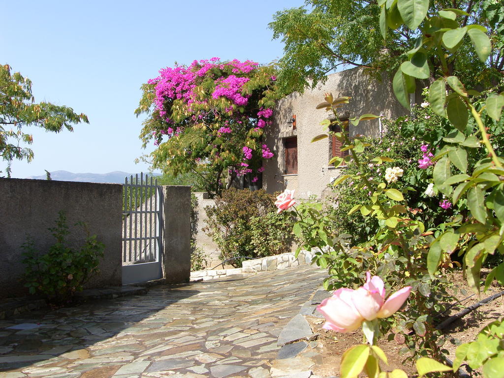 Cavo Grosso Bungalows Mavrovoúnion Zimmer foto